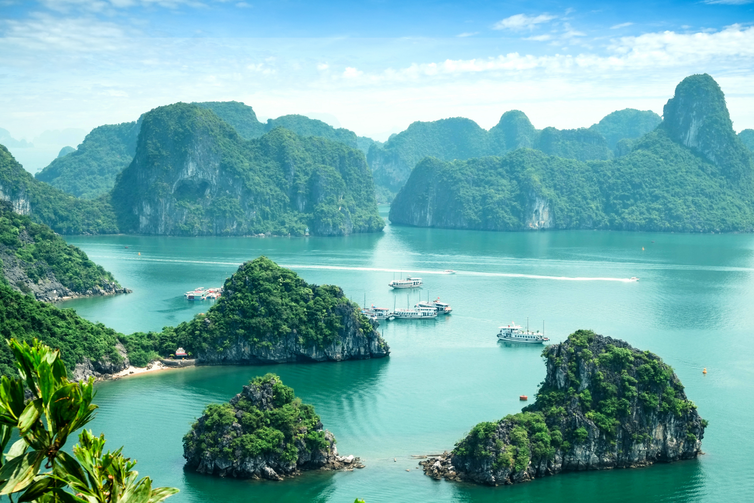 lan ha bay (2).webp